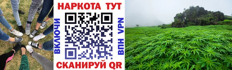 Продажа наркотиков Артём Псилоцибиновые грибы  Кодеин  Меф мяу мяу  Гашиш  Alpha PVP  Бошки Шишки 