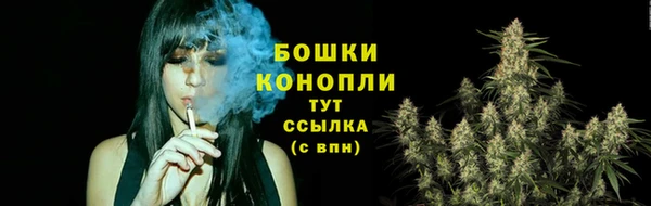 дживик Горняк