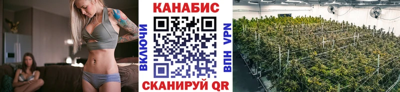Бошки марихуана Bruce Banner Артём